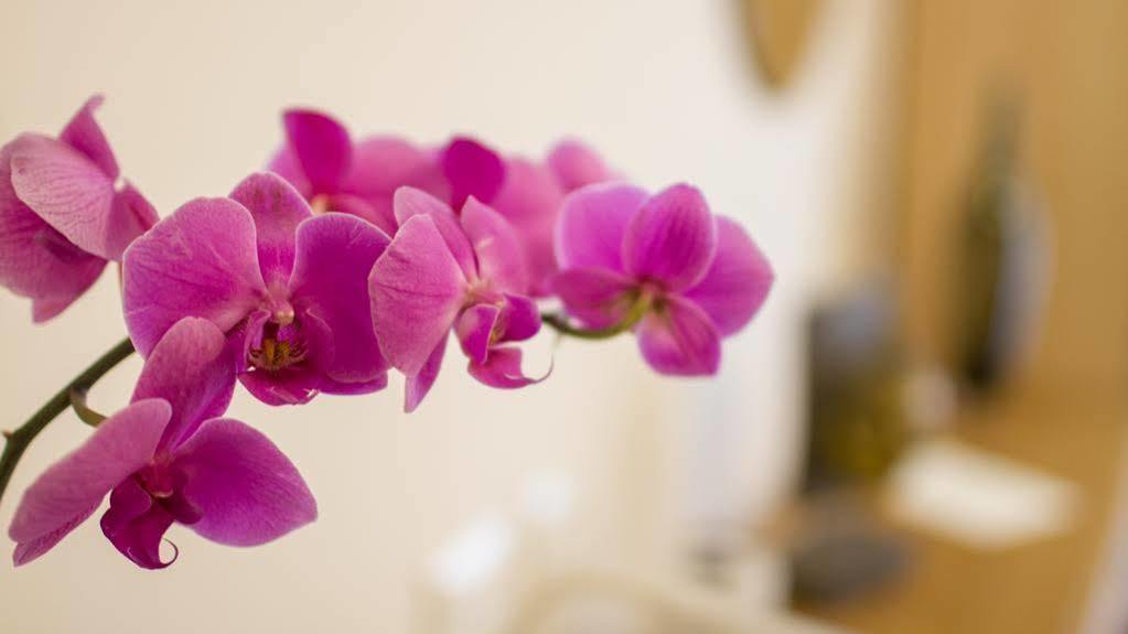 Hotel Martino Ai Monti Roma Ngoại thất bức ảnh
